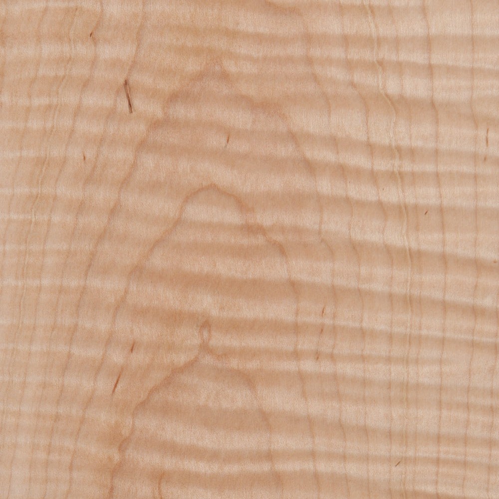 Curly Maple