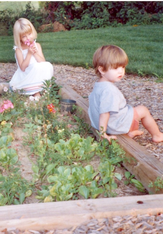 Garden Bed